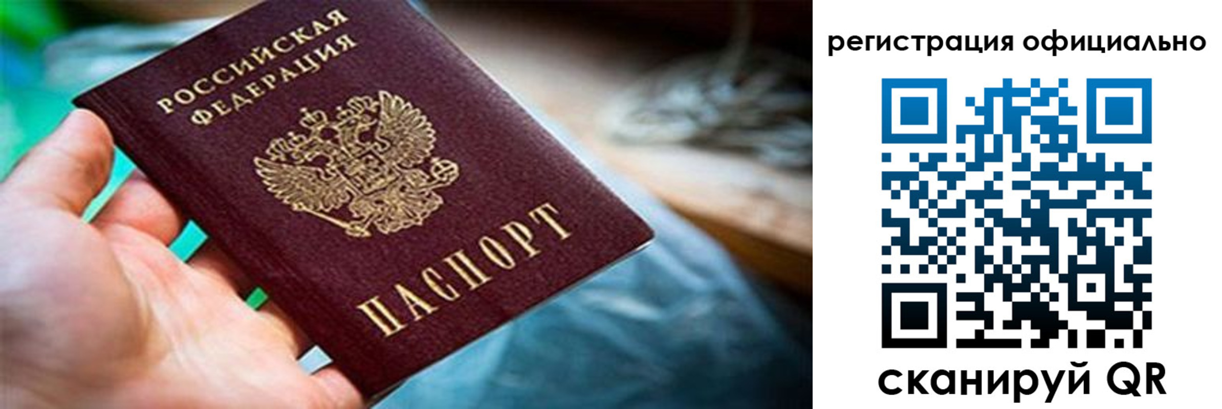найти адрес прописки в Петропавловске-Камчатском